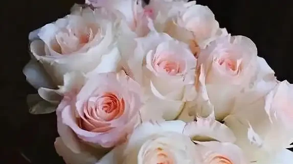全球最火10款玫瑰花,進口斷貨王,你家有這朵嗎?