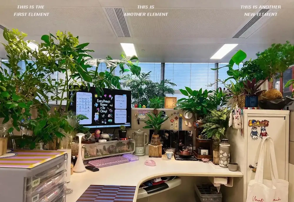 00後在工位上養花，把「班味」去得賊乾淨，老闆：公司最穩的員工