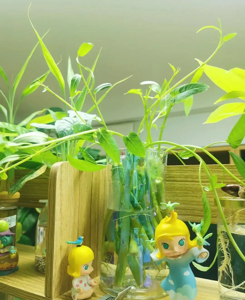 00後在工位上養花，把「班味」去得賊乾淨，老闆：公司最穩的員工