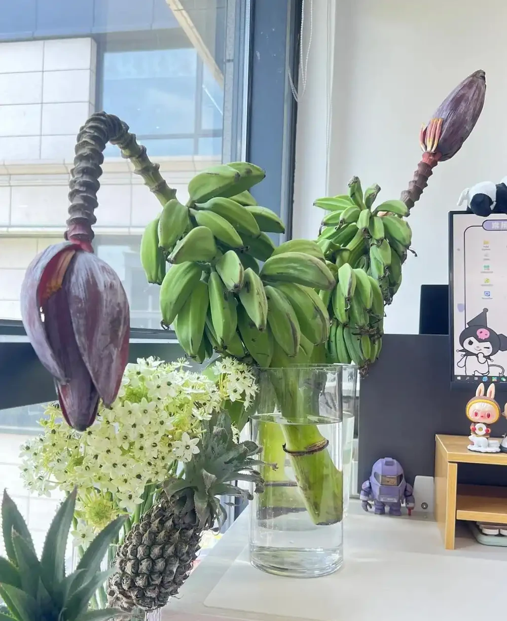 00後在工位上養花，把「班味」去得賊乾淨，老闆：公司最穩的員工