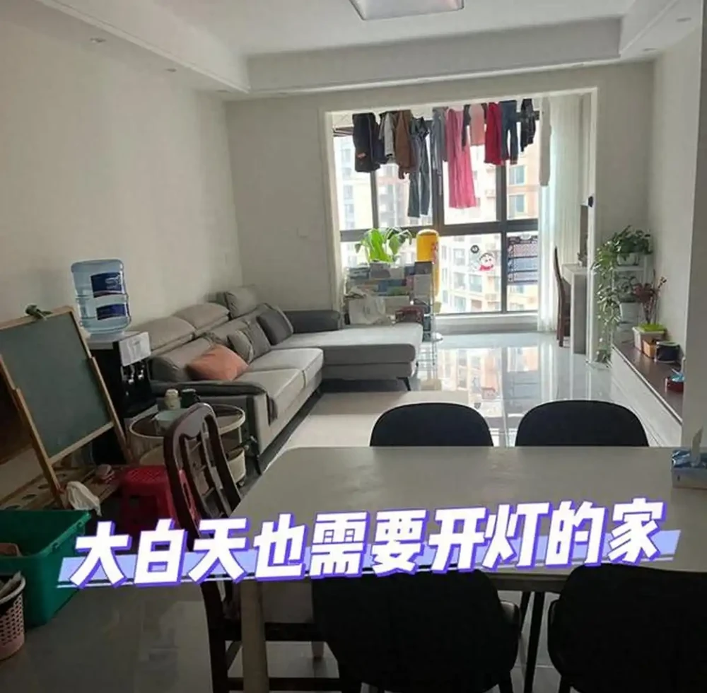 5款「養不死」的耐陰綠植,顏值高,好養活,北陽臺的福音!