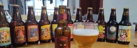 文竹葉子發黃咋辦?3種酸水來幫忙,綠得發亮長勢旺