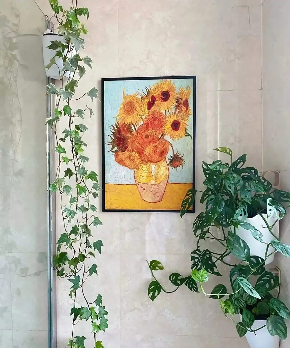深圳男子 衛生間塞滿綠植,兜蘭開花驚豔!網友靈魂提問笑噴