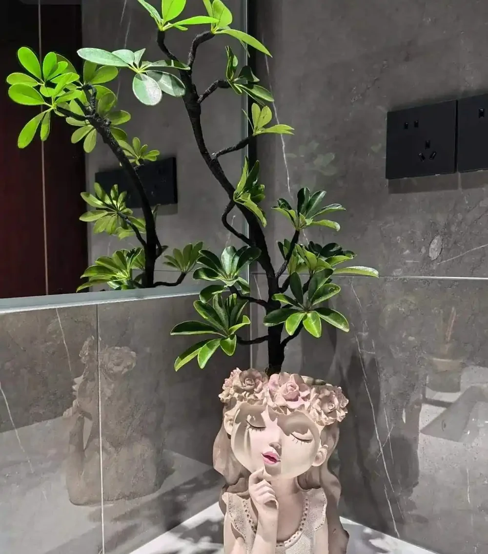 深圳男子 衛生間塞滿綠植,兜蘭開花驚豔!網友靈魂提問笑噴