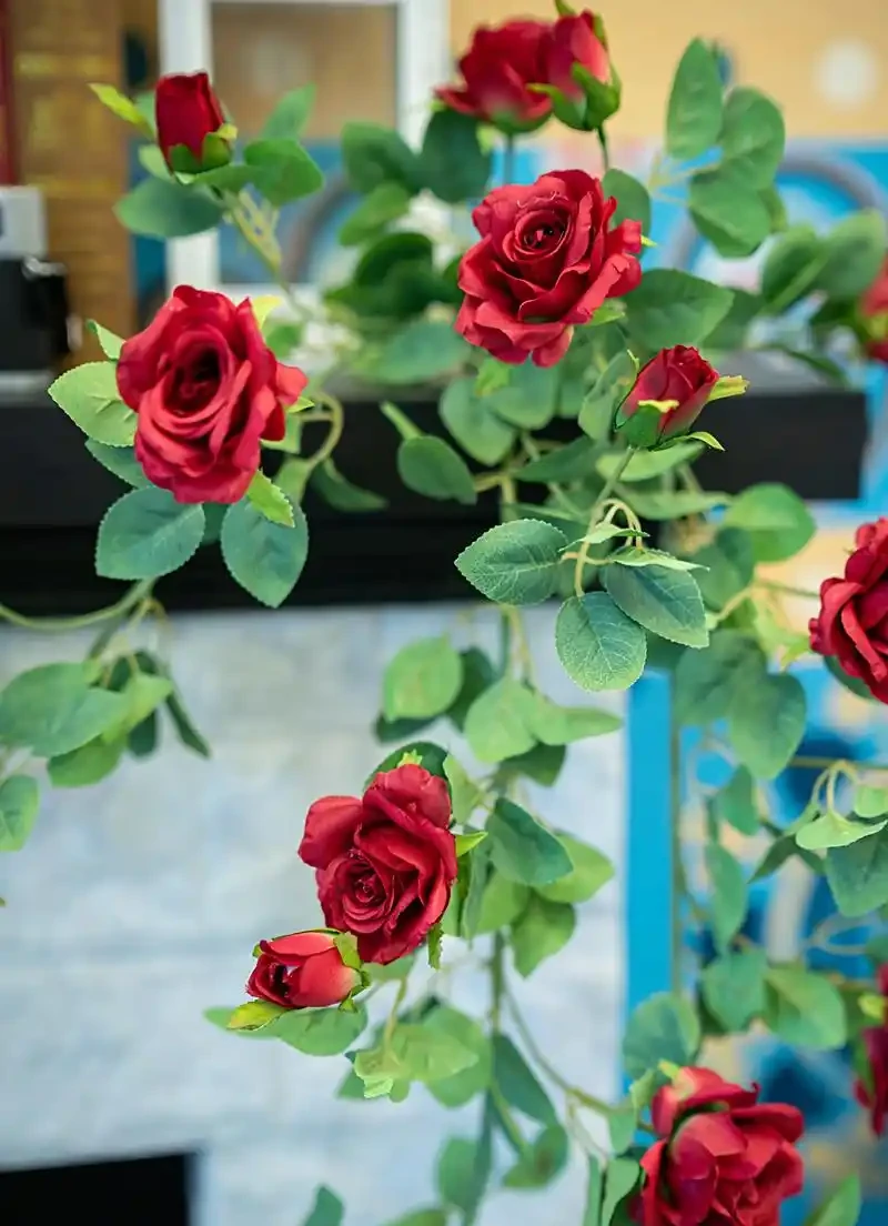 薔薇是玫瑰嗎