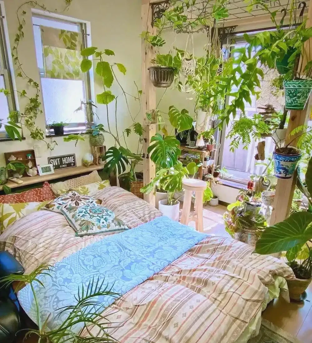 臥室綠植的極致體驗與推薦：從廣州女子案例到多樣植物選擇