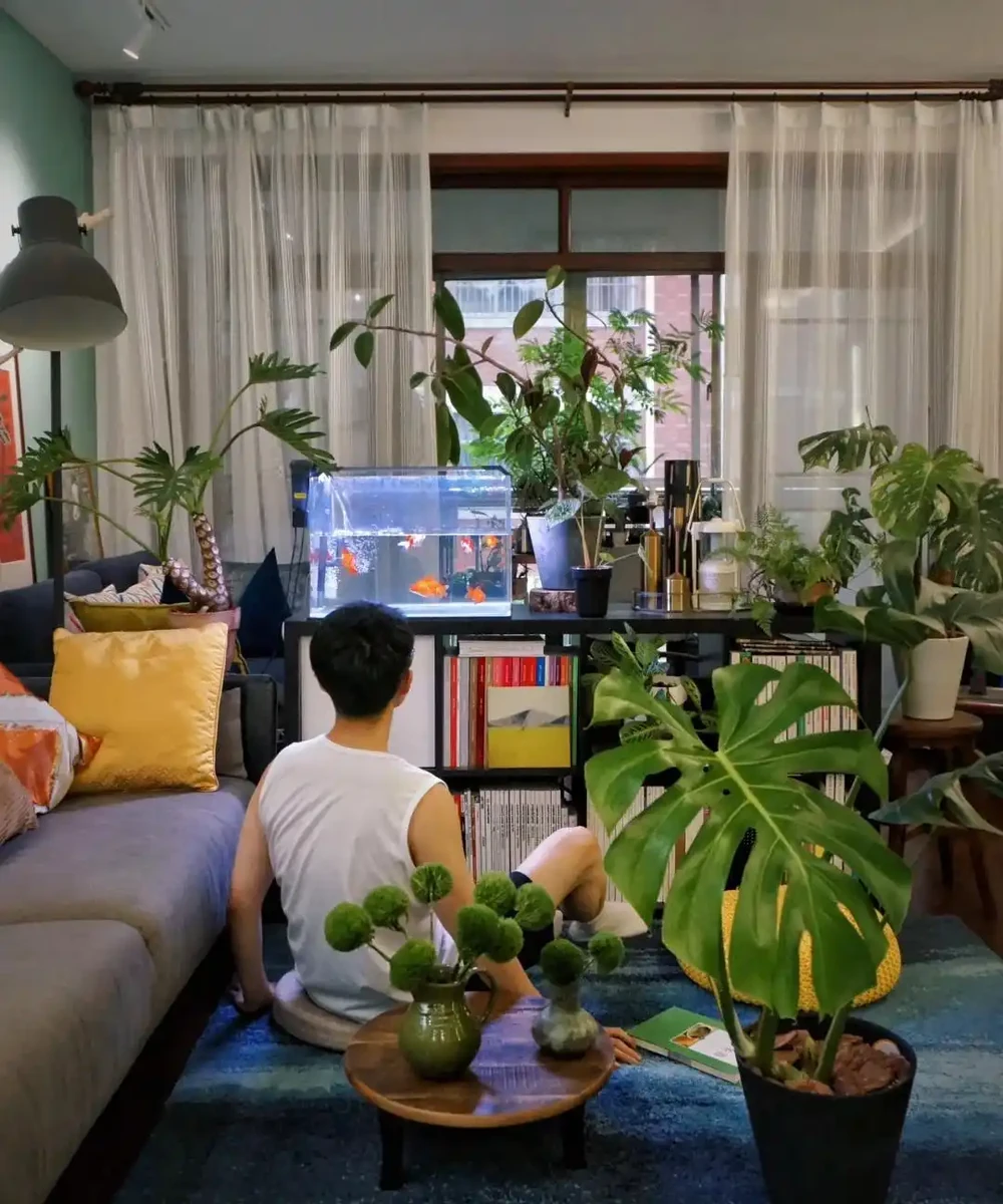 這6種花客廳一放,空氣越來越乾淨!懶人也能養活的神仙綠植清單