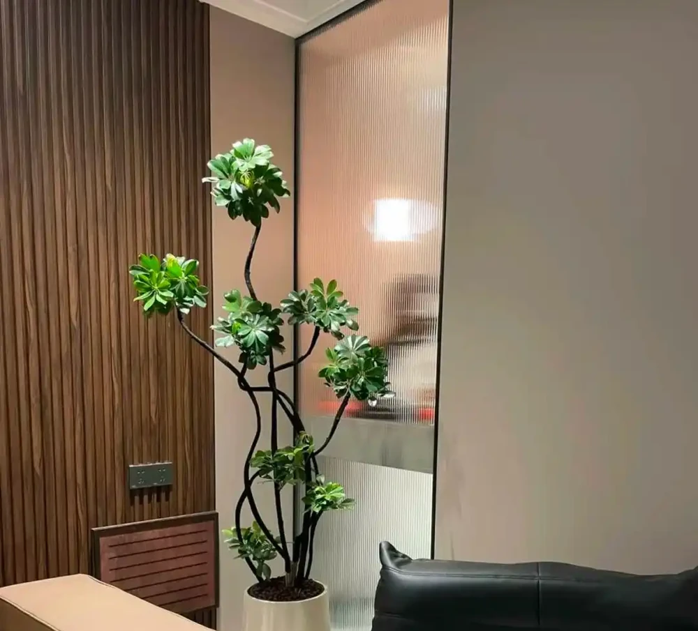 這6種花客廳一放,空氣越來越乾淨!懶人也能養活的神仙綠植清單