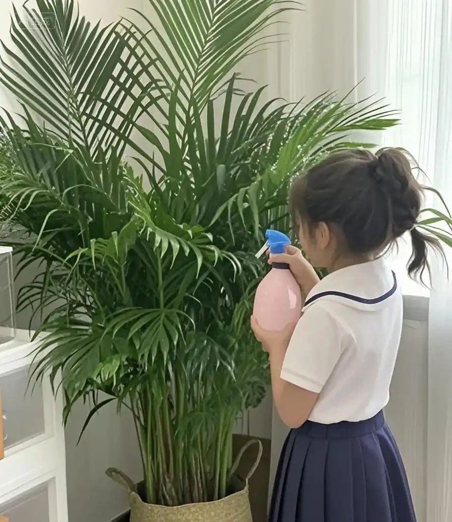 這6種花客廳一放,空氣越來越乾淨!懶人也能養活的神仙綠植清單