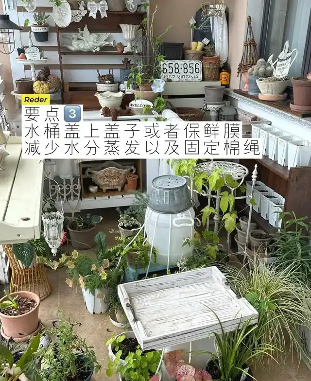 浙江一女子因出門旅行,自制澆水神器,歸來0損耗,網友:求教程