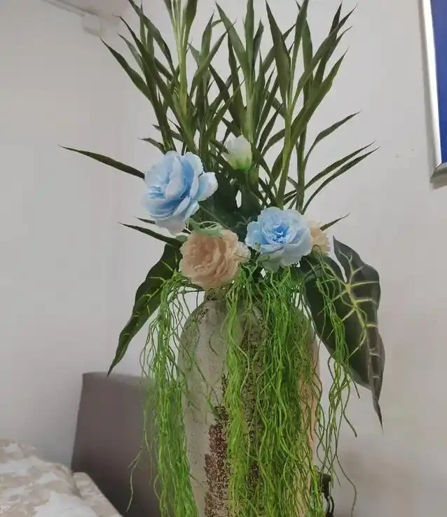 黃金葛養成水下森林,她只用兩年火遍全網,秘密藏在瓶子裡?