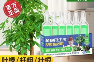 拯救發財樹黃葉危機！新手必備的5款營養液實測指南