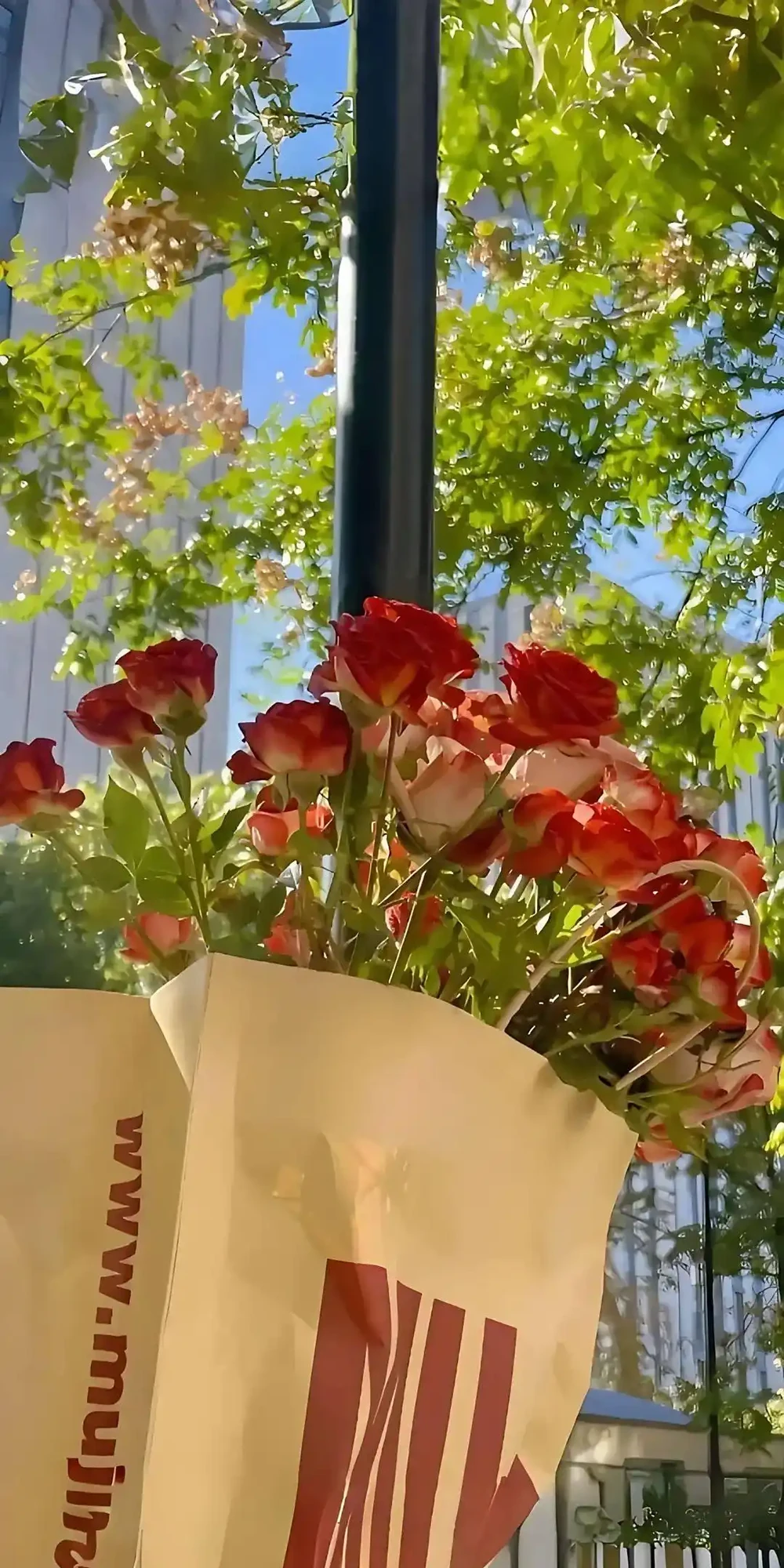 浪漫的玫瑰花束桌布