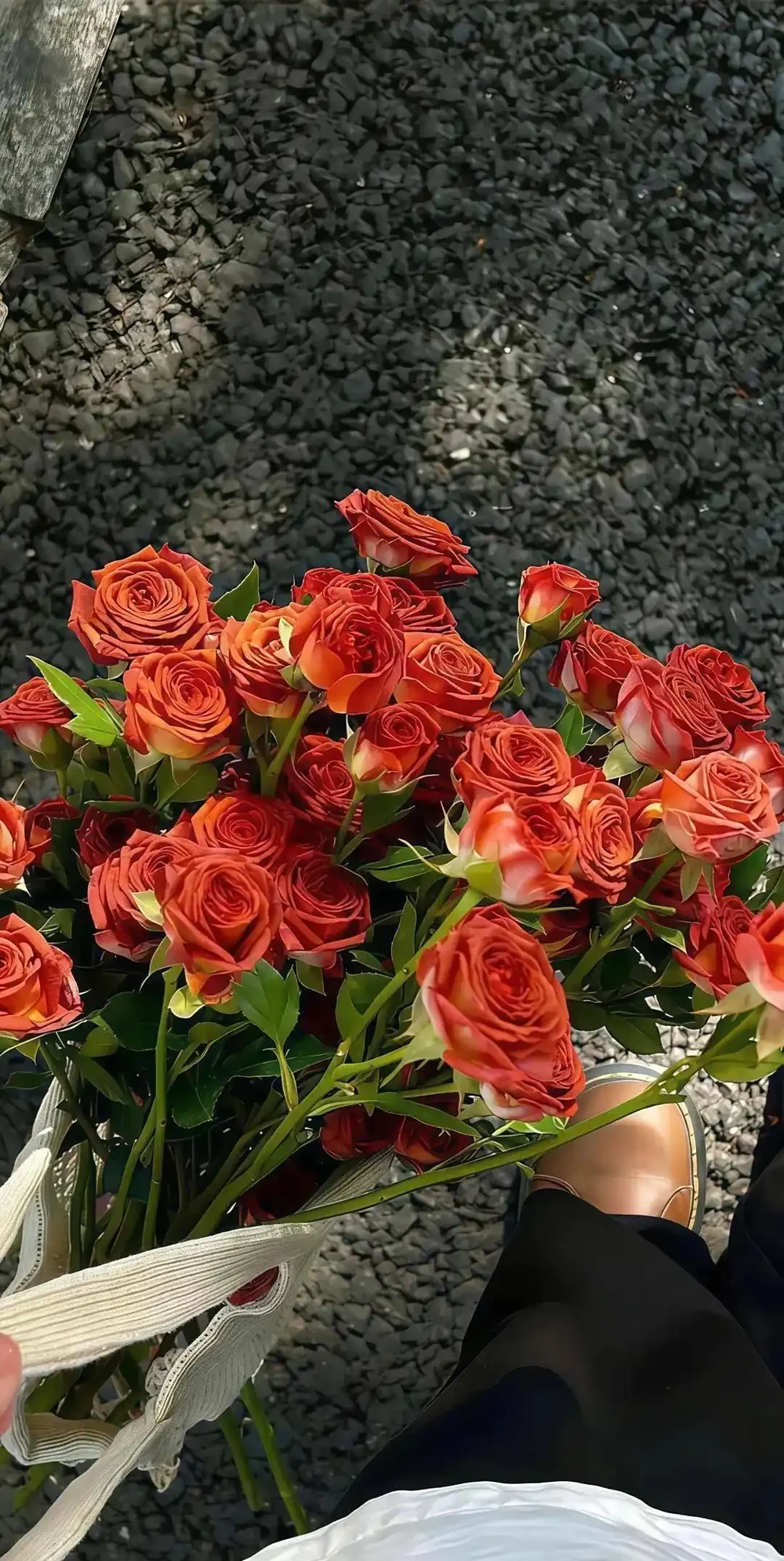 浪漫的玫瑰花束桌布