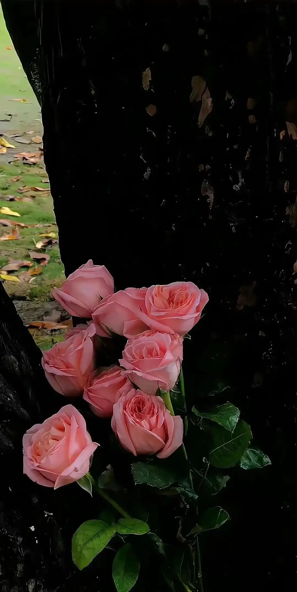 浪漫的玫瑰花束桌布