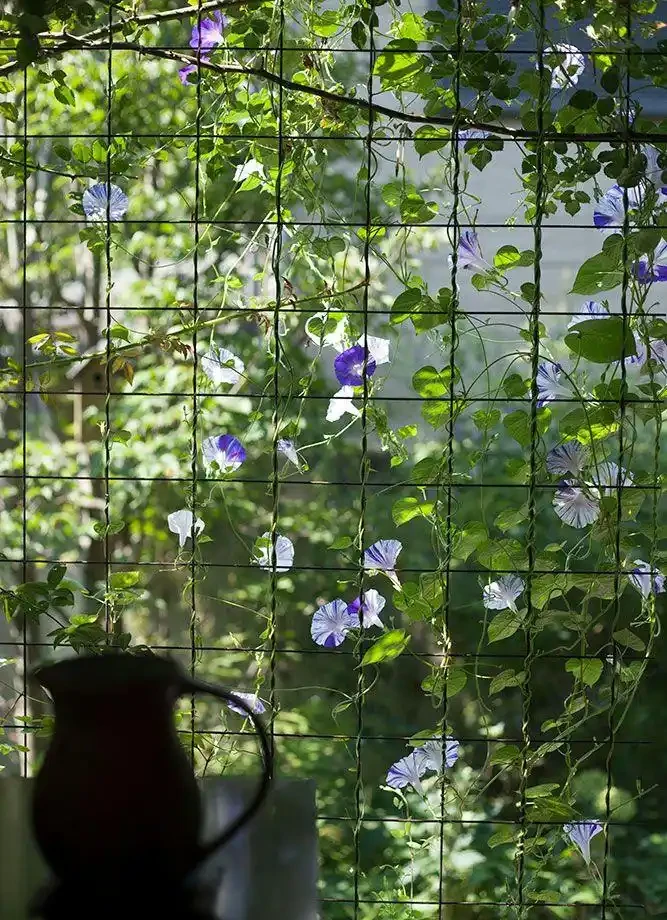 院子這樣規劃,一年四季都有花看!