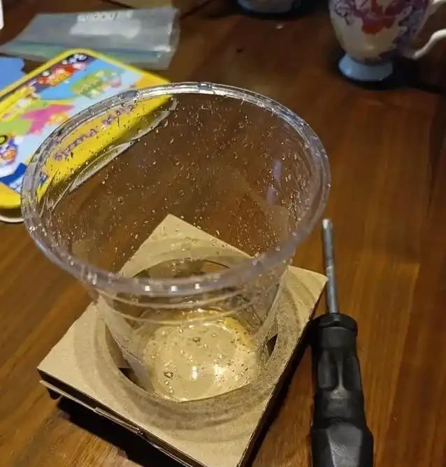 北方暖氣乾死蝴蝶蘭?奶茶杯悶養10天出翡翠根,省錢又好看!