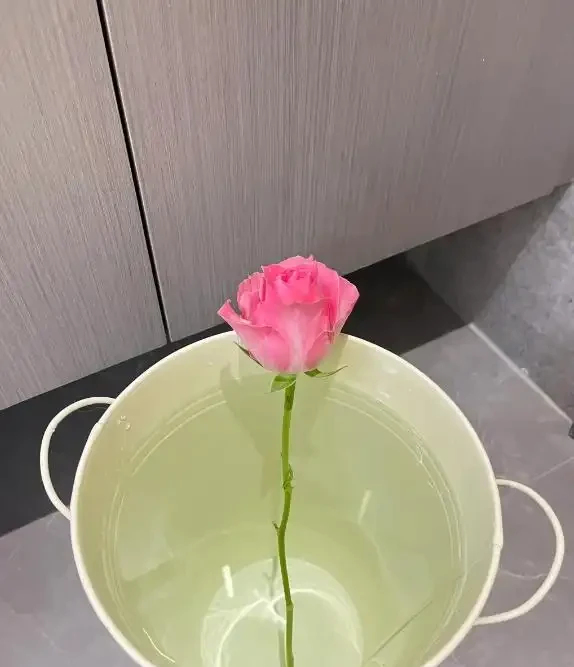 什麼是醒花?原來鮮花 「喝飽水」,能美更多天