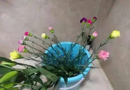 什麼是醒花?原來鮮花 「喝飽水」,能美更多天