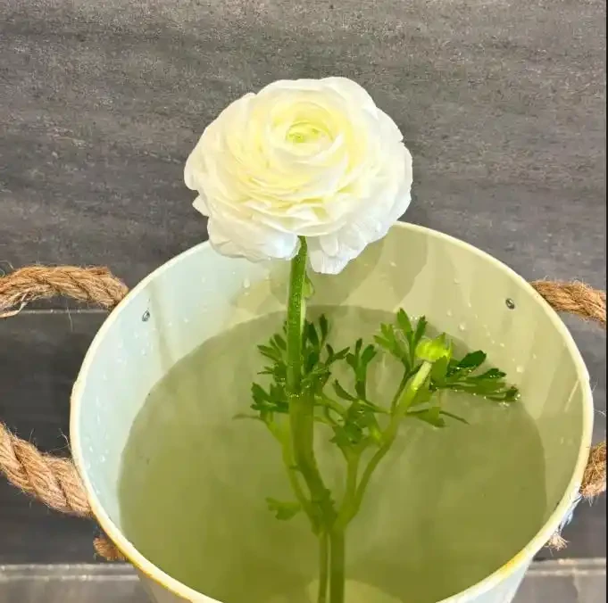 什麼是醒花?原來鮮花 「喝飽水」,能美更多天