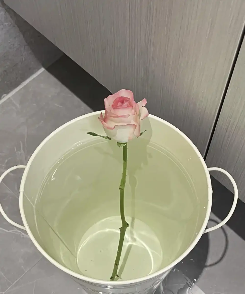 什麼是醒花?原來鮮花 「喝飽水」,能美更多天