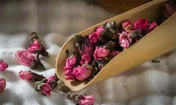 玫瑰花喜陰還是喜陽