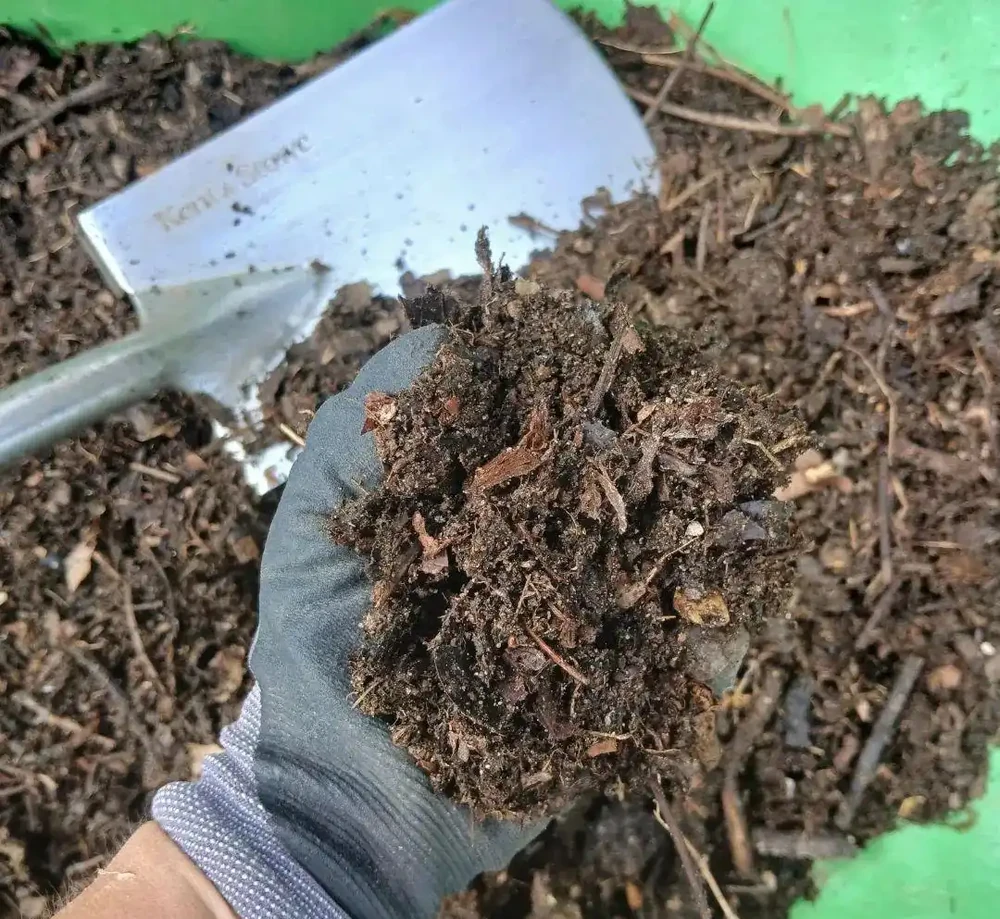 如何選擇和使用花園覆蓋物|園藝無國界