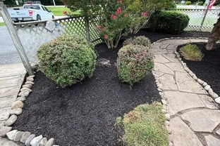 如何選擇和使用花園覆蓋物｜園藝無國界