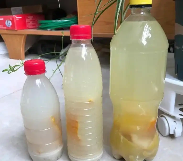 家庭花肥的製作方法：想要不臭、不燒根，有6種實用選擇