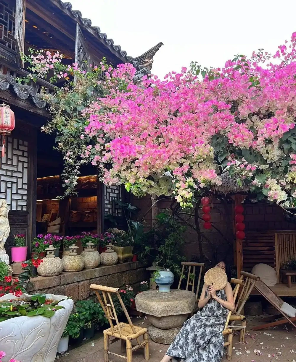 家有小院子,一定要養這「11種花」,浪漫又唯美,高階感撲面而來