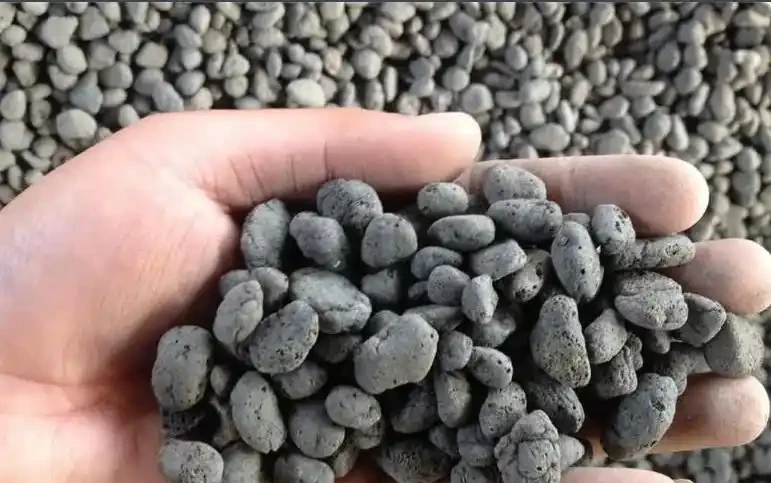 這東西竟能讓花兒起死回生，90% 的人都不知道——發泡煉石能種花嗎