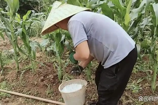 複合肥料撒著用還是溶水澆？老農實測差別大，種菜人別再憑感覺來