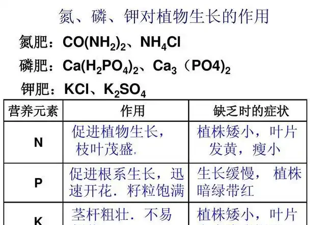 氮肥、磷肥、鉀肥的作用有多大?植物生長所必需的肥料三要素