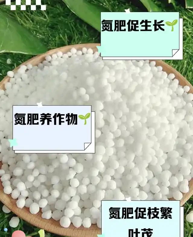 氮肥、磷肥、鉀肥的作用有多大?植物生長所必需的肥料三要素