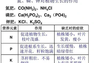 氮肥、磷肥、鉀肥的作用有多大？植物生長所必需的肥料三要素