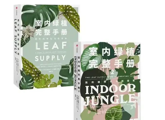 植物2：金鑽根莖太高頭重腳輕？別急，教你幾招輕鬆解決