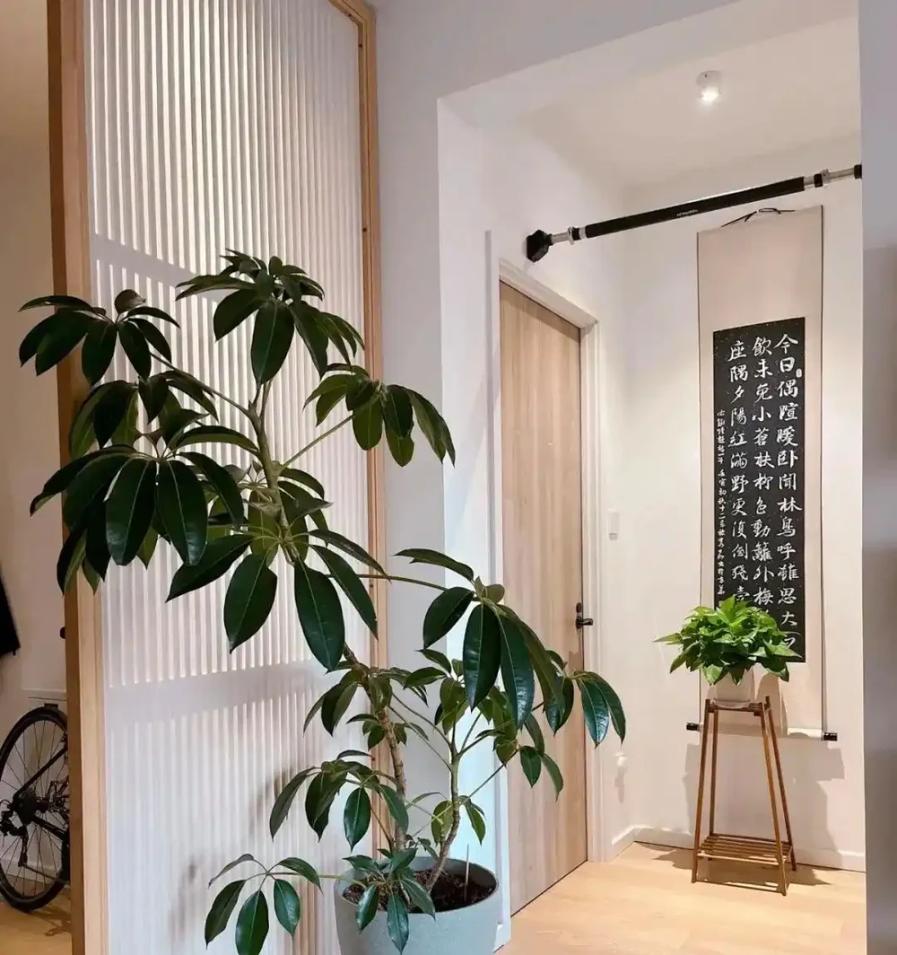 廁所再小,也得養6種花,臭味異味全沒了,衛生間也清新漂亮!