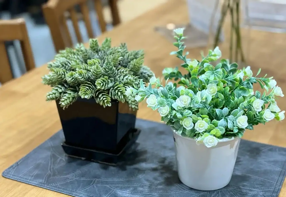 救命!剛買的綠植蔫成「菜乾」還有救嗎?這4招親測能讓它「起死回生」