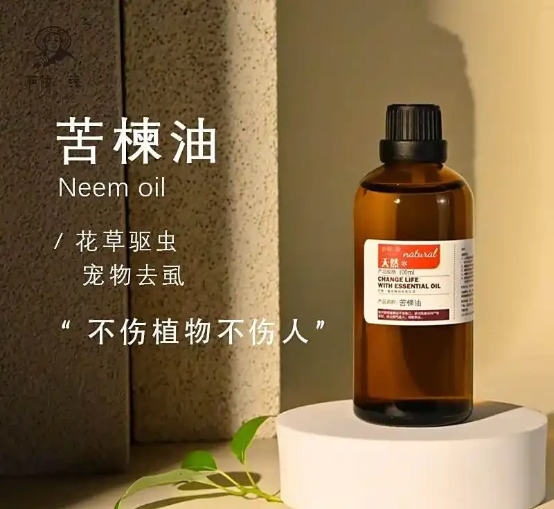 苦楝油