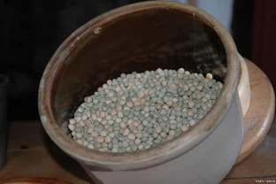 發泡煉石墊花盆底好嗎