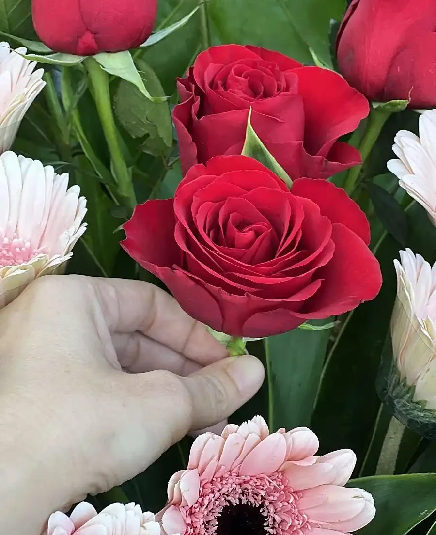 玫瑰醒花超過10小時可以嗎