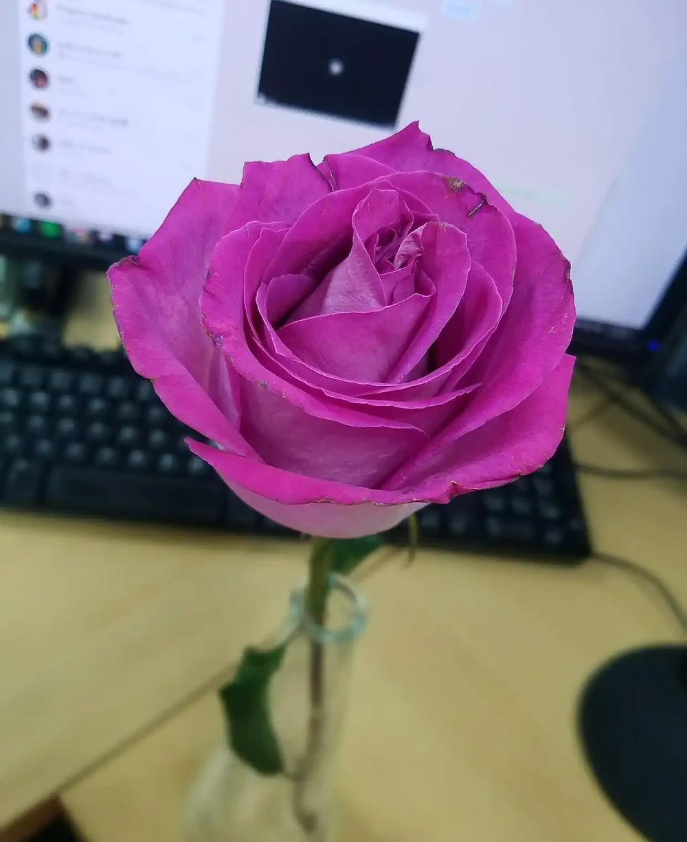 玫瑰醒花超過10小時可以嗎