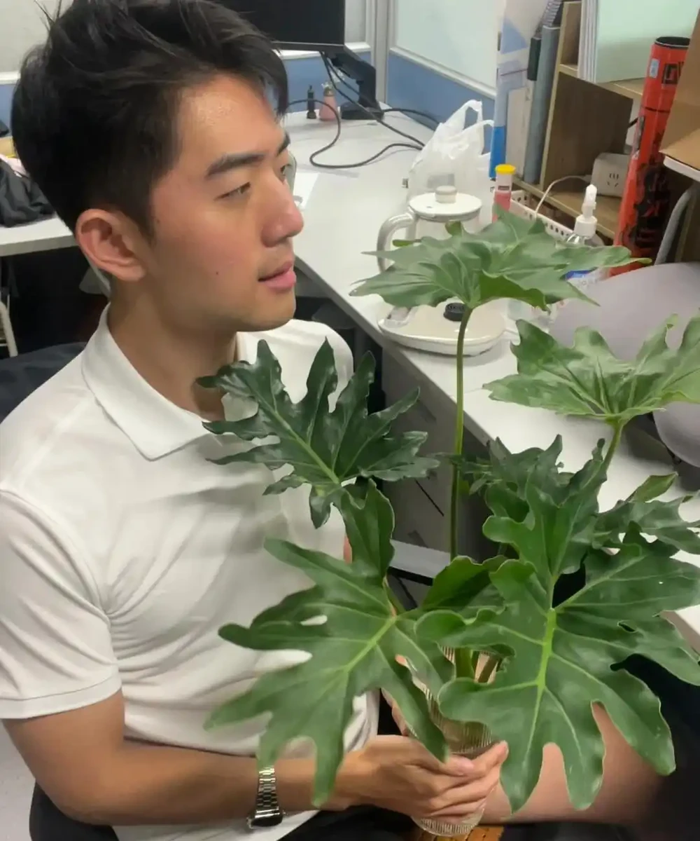 男子近日被裁員,清理工位上的花,大大小小一拖車,網友:工位當家的代價