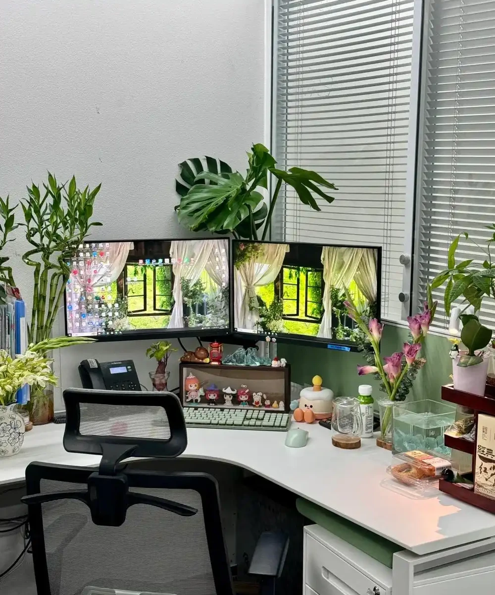 男子近日被裁員,清理工位上的花,大大小小一拖車,網友:工位當家的代價