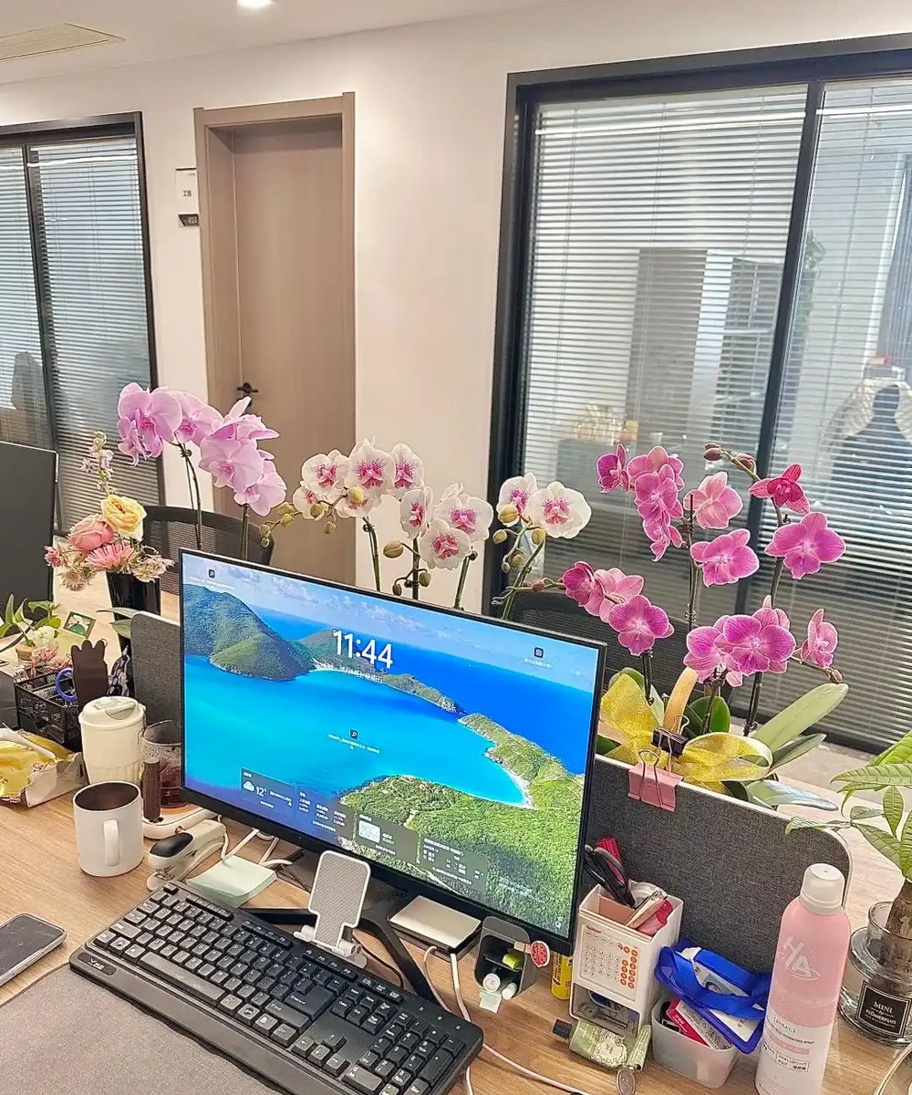 男子近日被裁員,清理工位上的花,大大小小一拖車,網友:工位當家的代價