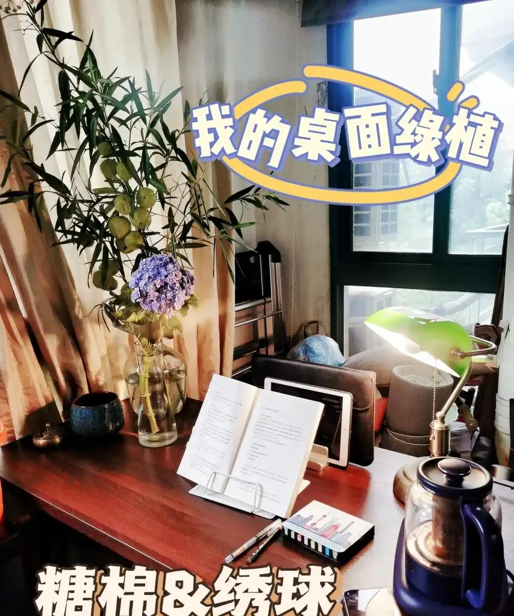男子近日被裁員,清理工位上的花,大大小小一拖車,網友:工位當家的代價
