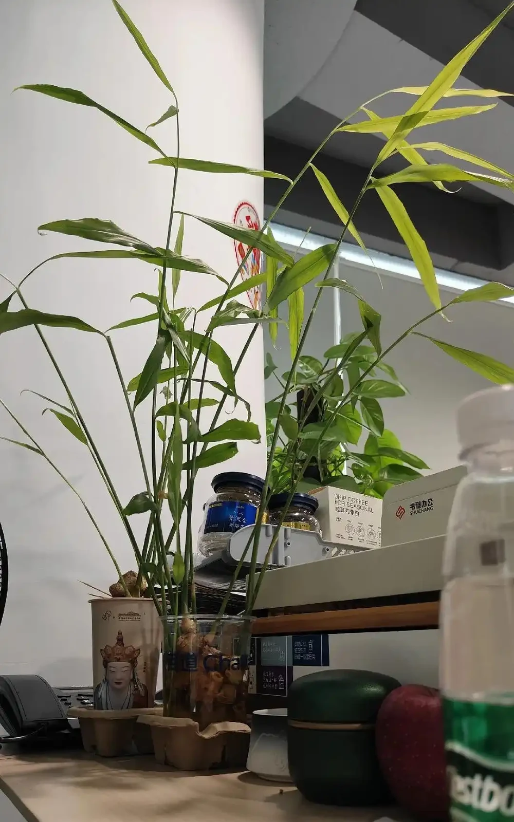 男子近日被裁員,清理工位上的花,大大小小一拖車,網友:工位當家的代價