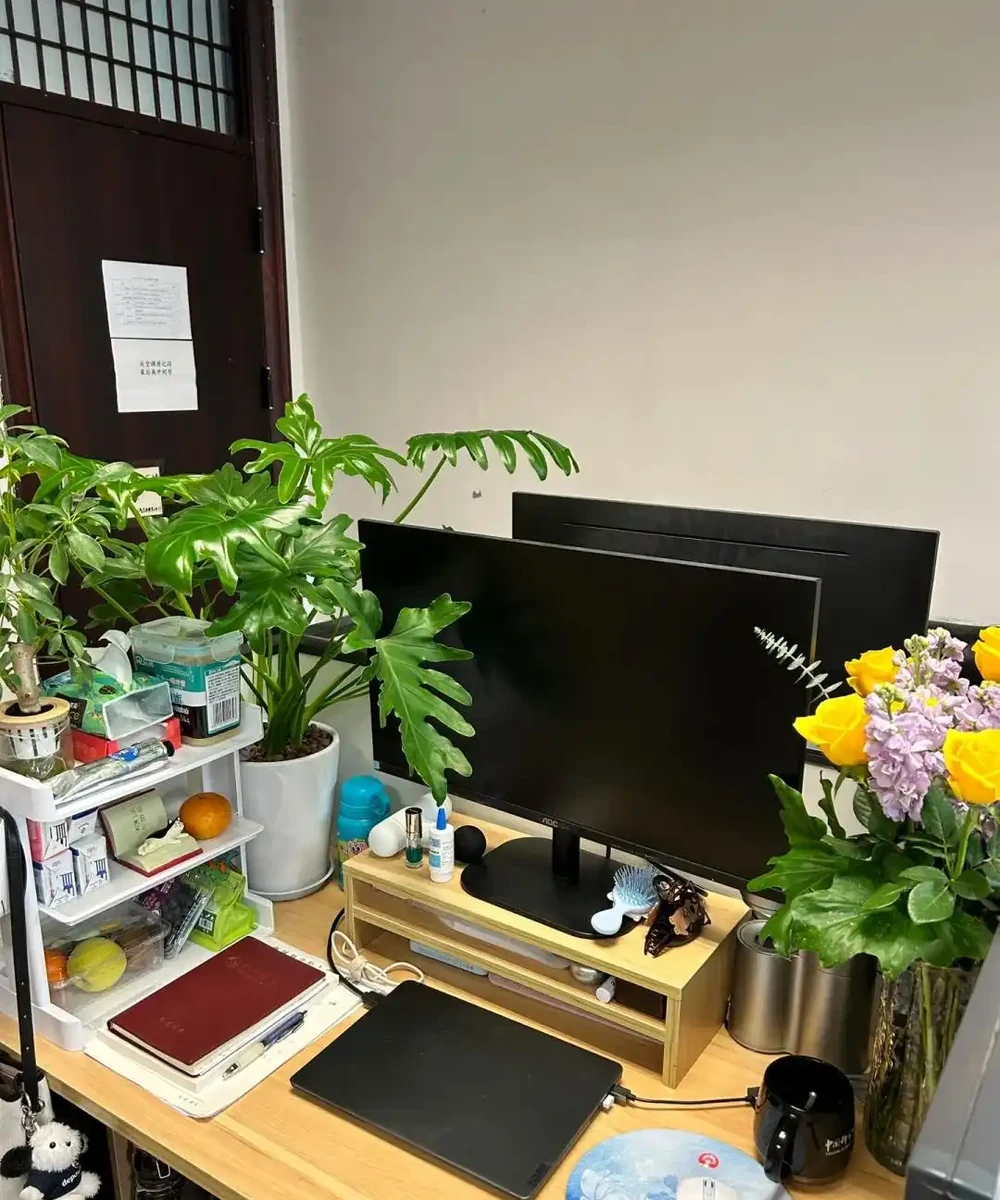 男子近日被裁員,清理工位上的花,大大小小一拖車,網友:工位當家的代價