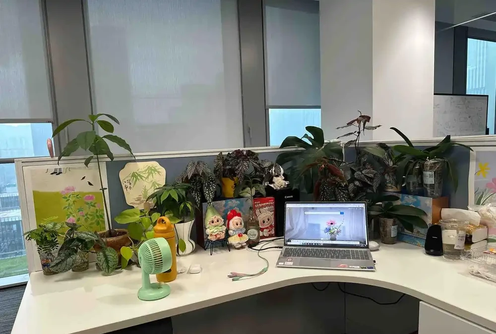 男子近日被裁員,清理工位上的花,大大小小一拖車,網友:工位當家的代價