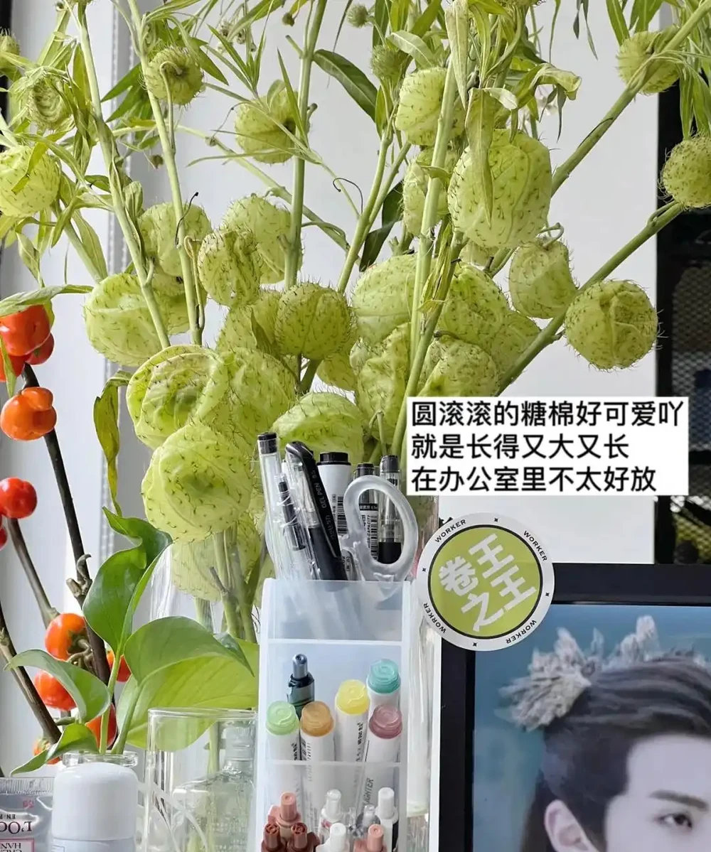 男子近日被裁員,清理工位上的花,大大小小一拖車,網友:工位當家的代價